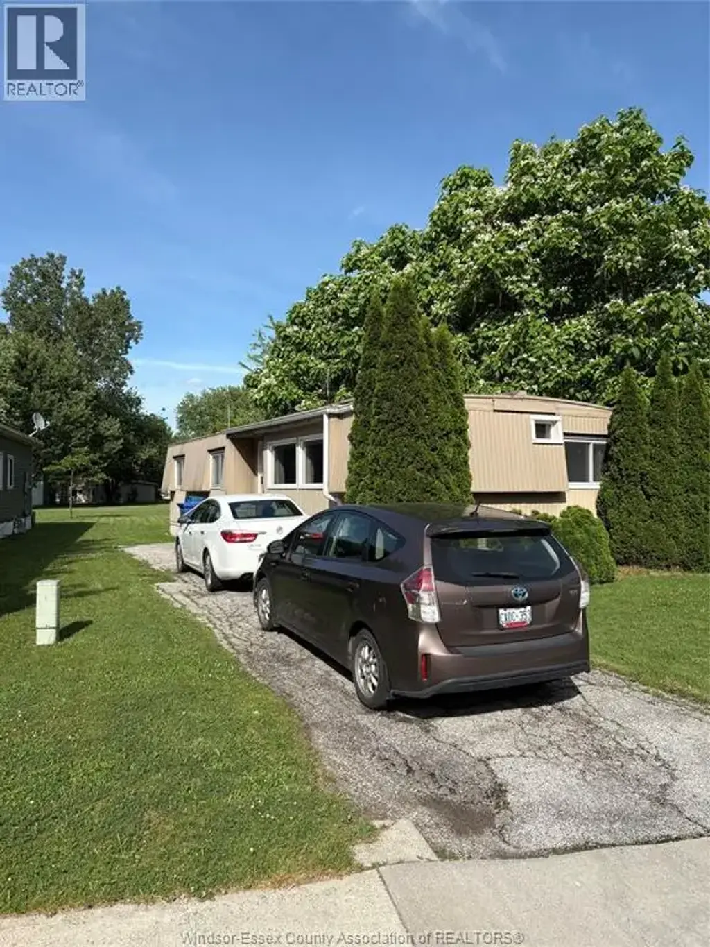 101 Dana, Essex